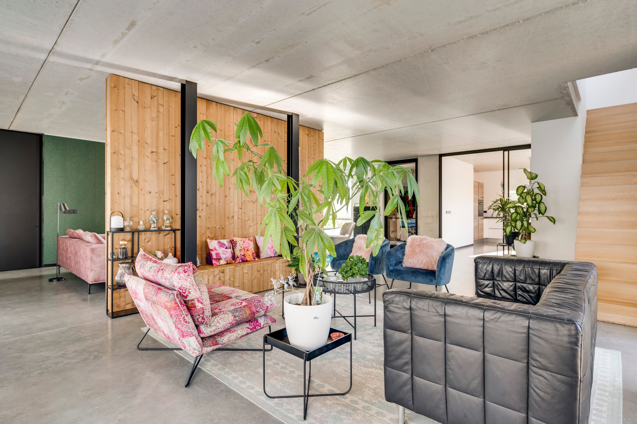 Foto 12 van Regenboogschotel 11