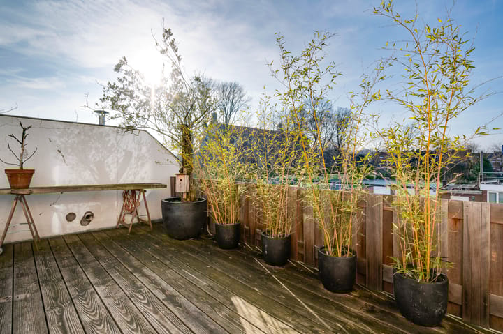 Foto 28 van Papenweg 4