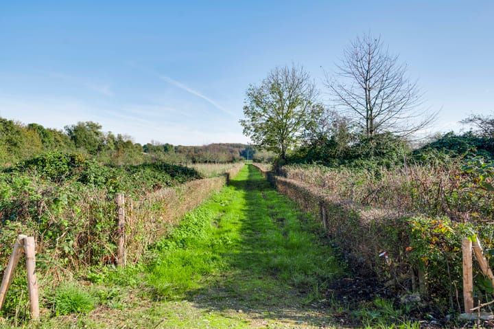 Foto 37 van Regenboogschotel 11