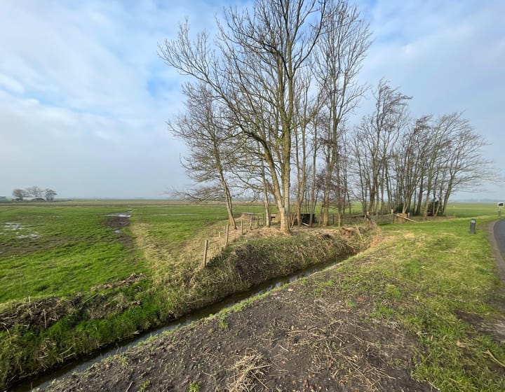 Foto 3 van Uitgeesterweg