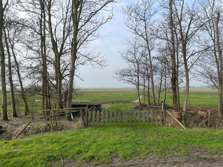Foto 4 van Uitgeesterweg