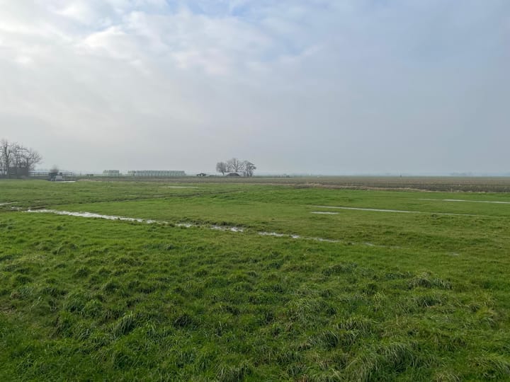 Foto 5 van Uitgeesterweg