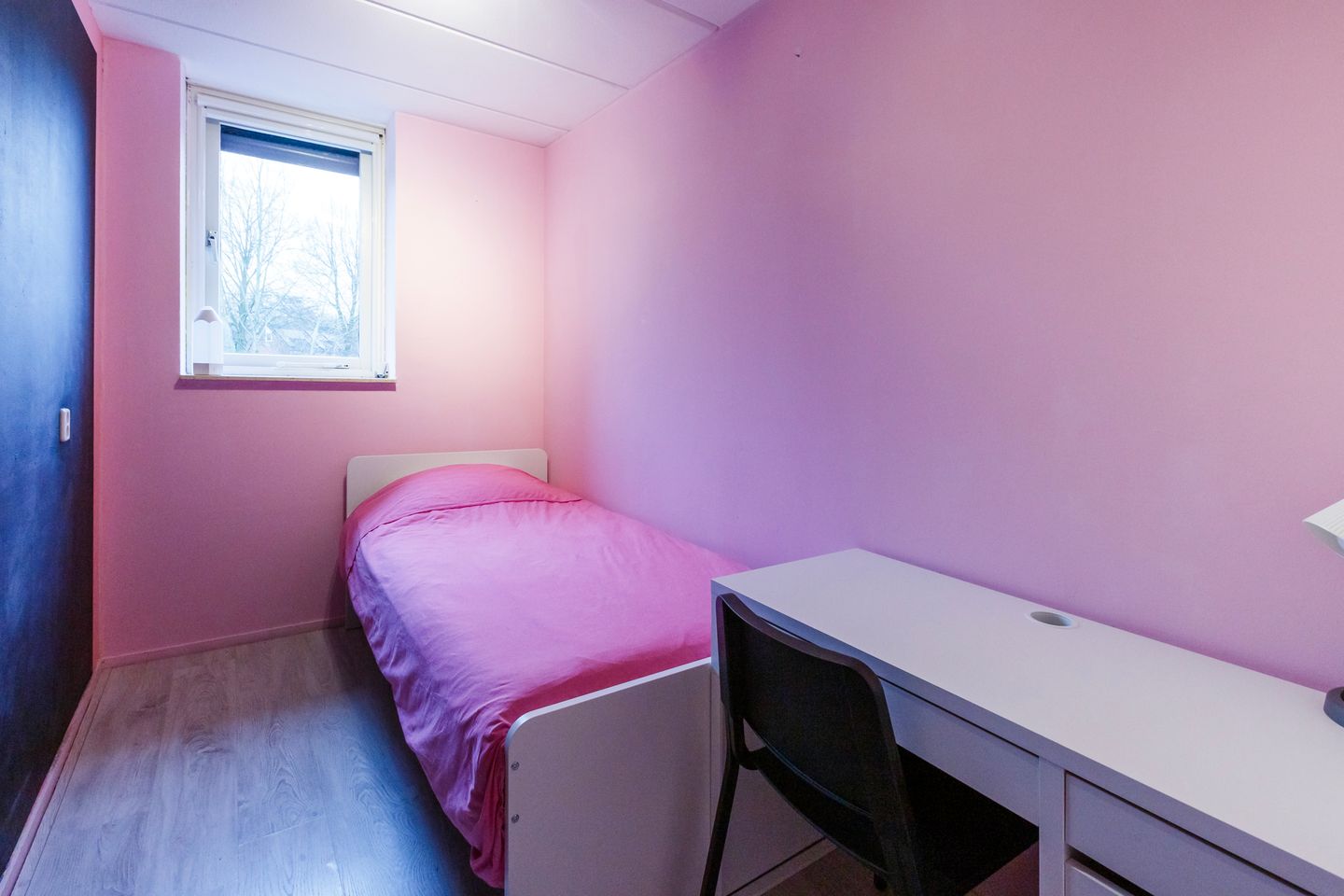 Photo 20 of Boekweitdreef 95