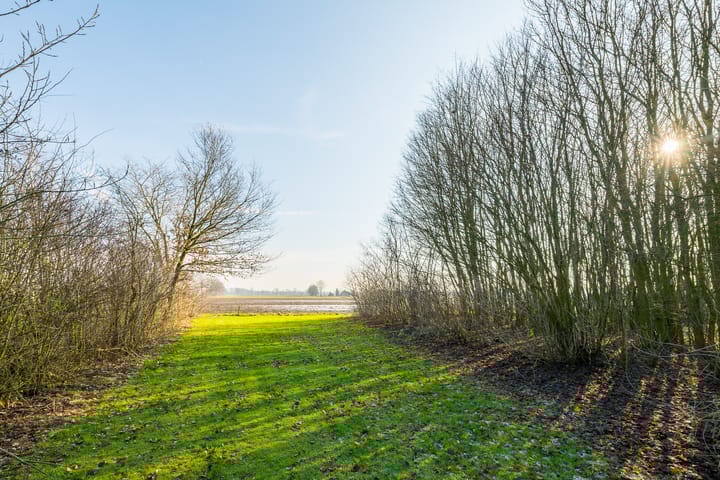 Photo 70 of Halle-Heideweg 31