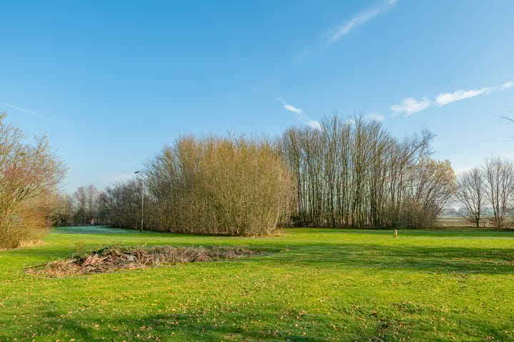 Photo 64 of Halle-Heideweg 31