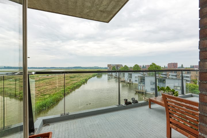 Foto 5 van Papegaaiduikerplein 12