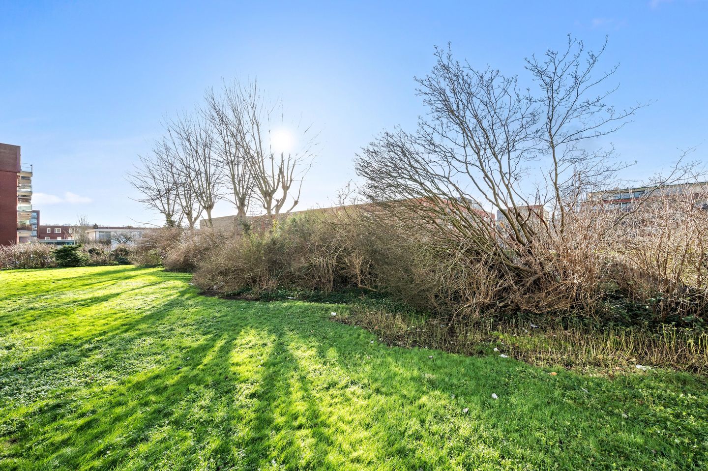 Foto 4 van Beresteinlaan 497