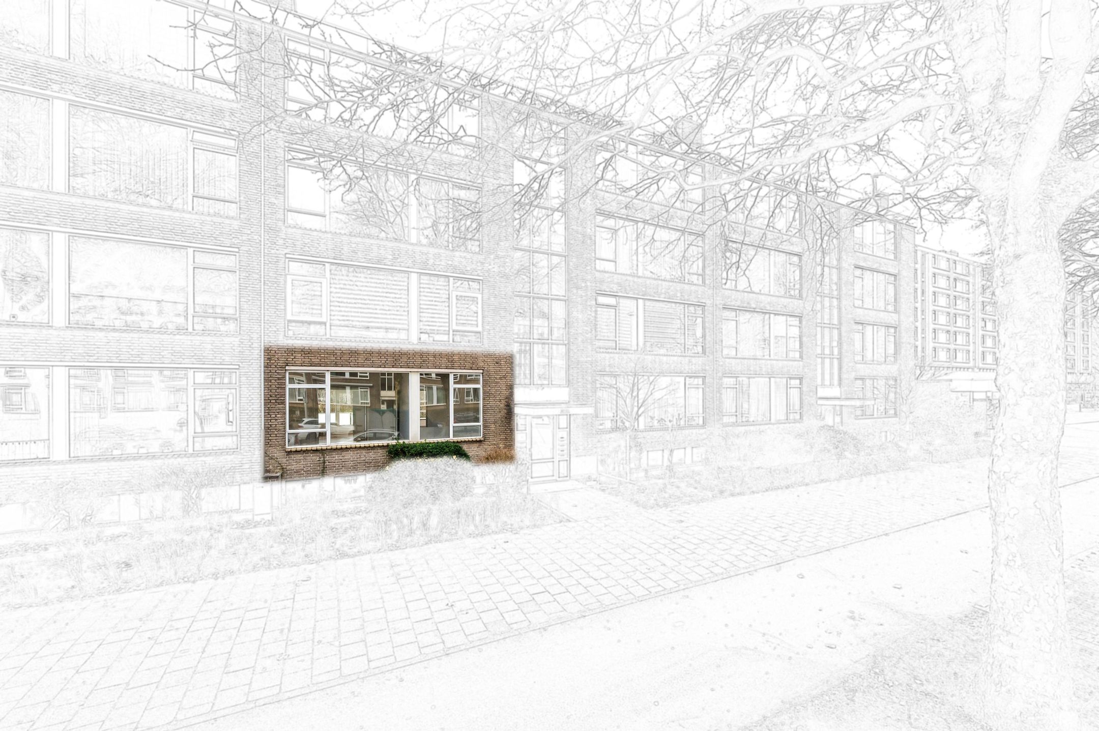 Foto 6 van Beresteinlaan 497