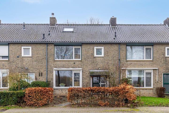 De Zandvoort 5