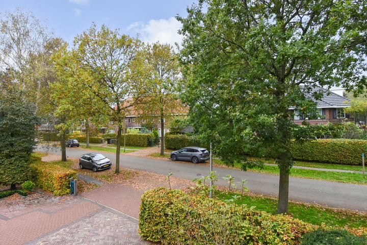 Foto 49 van Boswinde 3