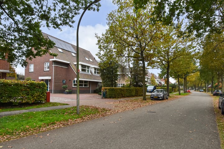 Foto 54 van Boswinde 3