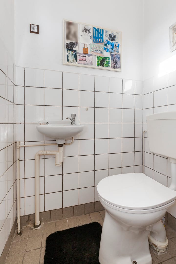 Foto 3 van Koolmeesstraat 2