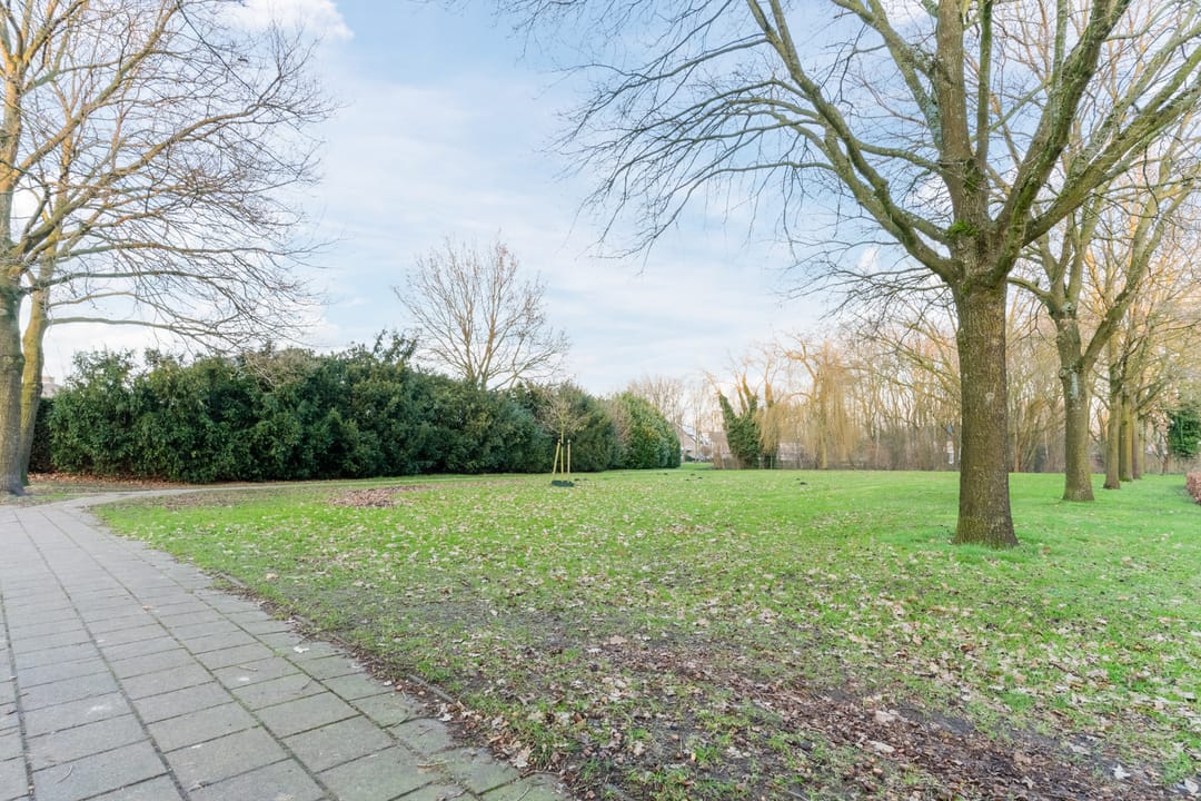 Foto 32 van de Imker 13