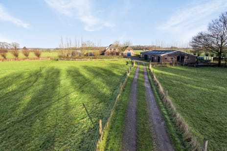 undefined main image