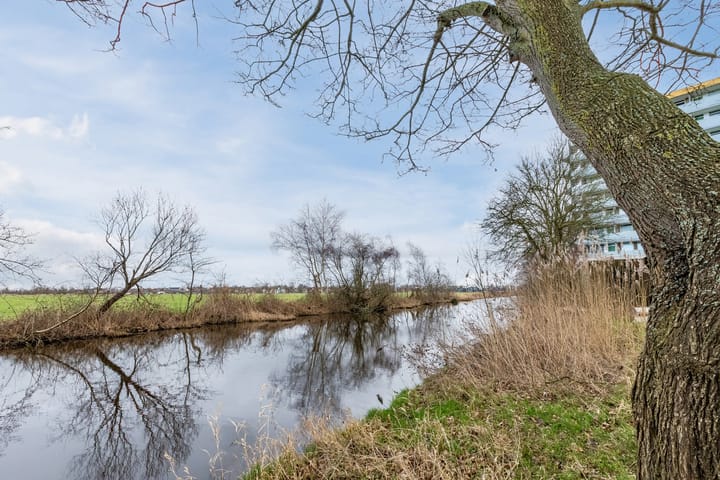 Photo 35 of Lisdoddelaan 38