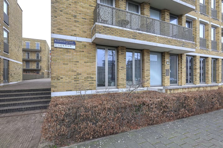 Foto 2 van Blauwvoetstraat 57