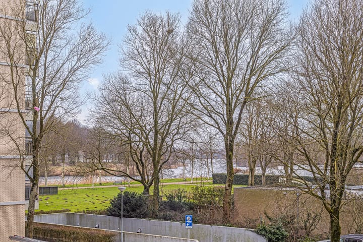 Foto 6 van Senecalaan 159