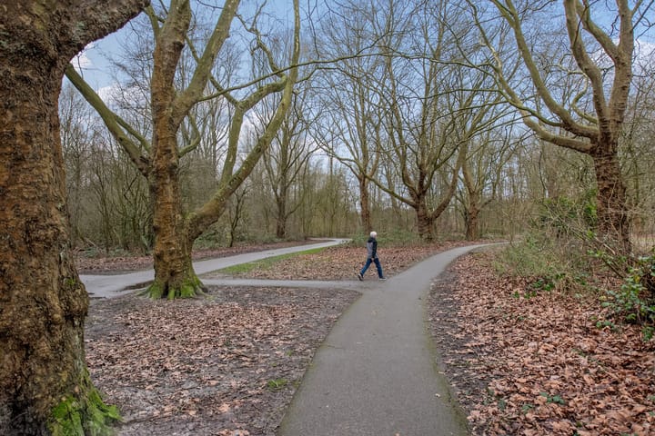 Foto 44 van Carolinenberg 23