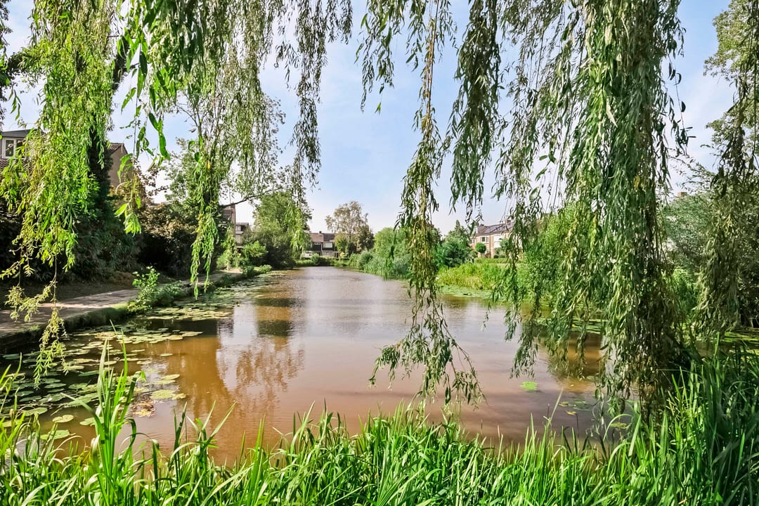 Photo 32 of Paulus Potterlaan 3