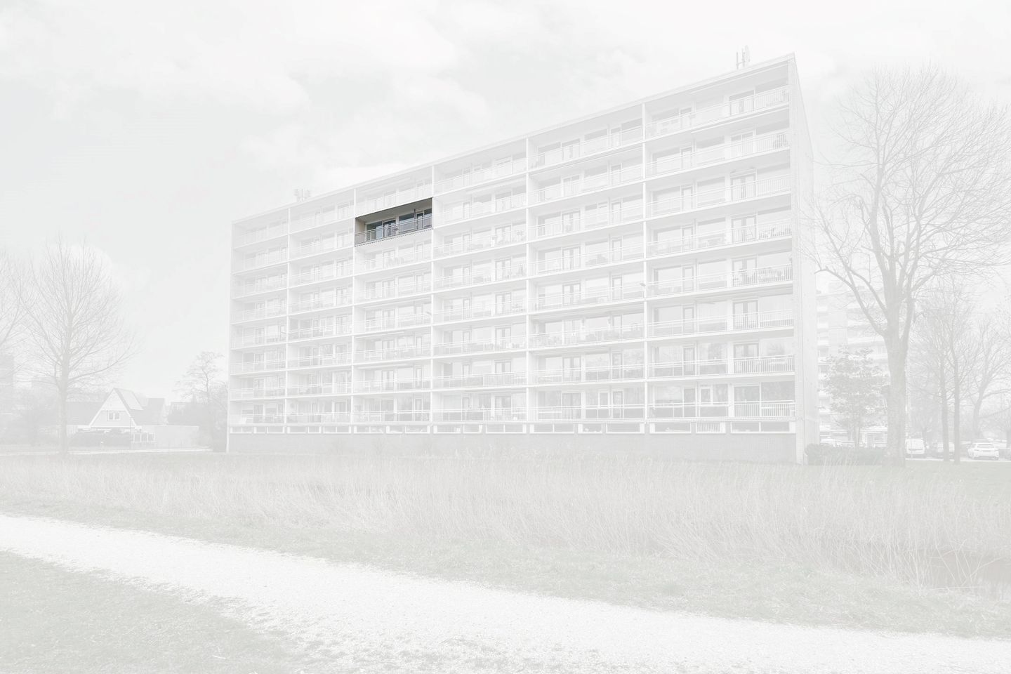 Foto 5 van Spechtlaan 53