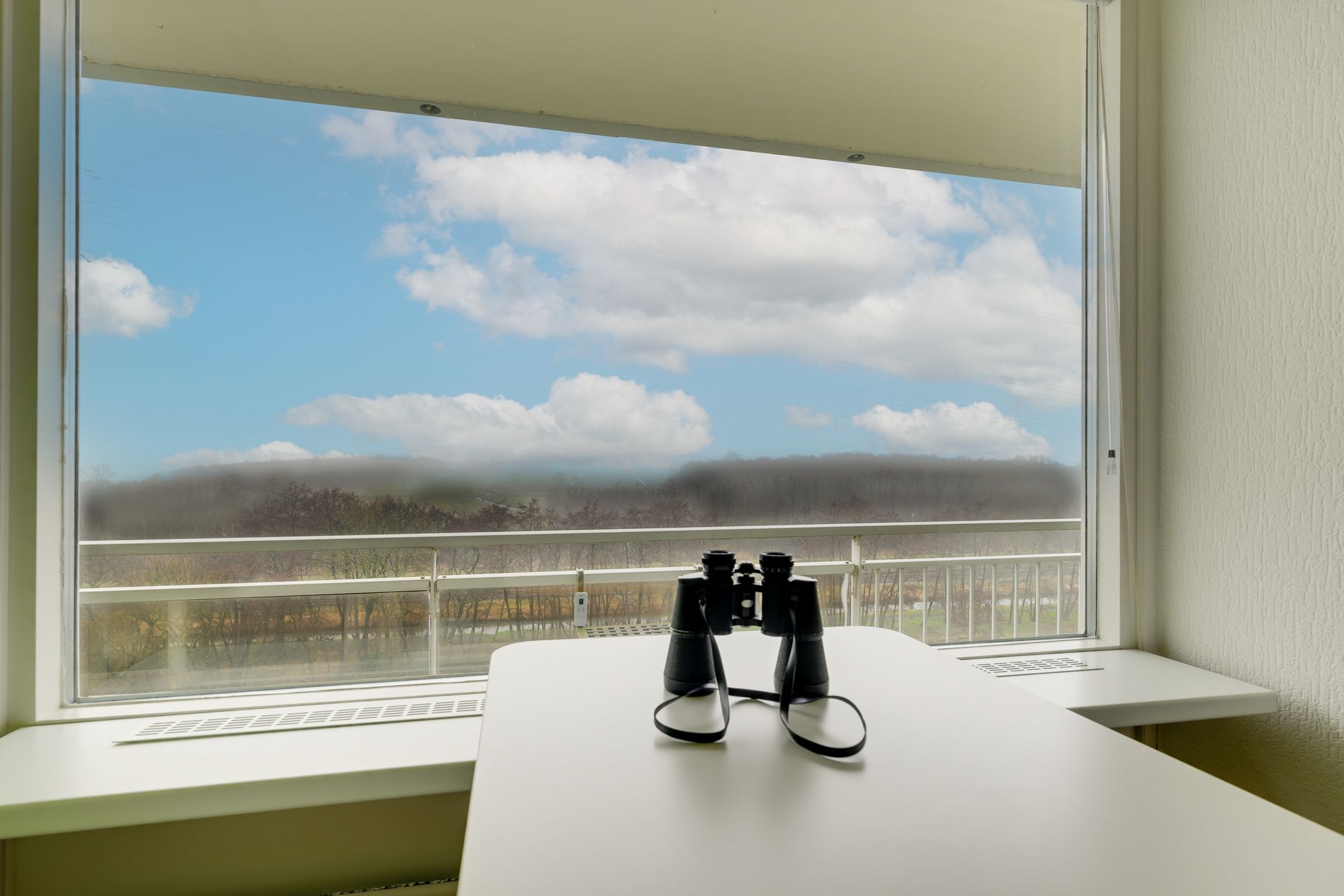 Foto 12 van Spechtlaan 53