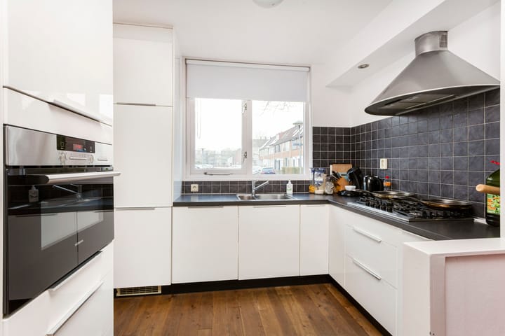 Photo 4 of Hispanioladreef 33