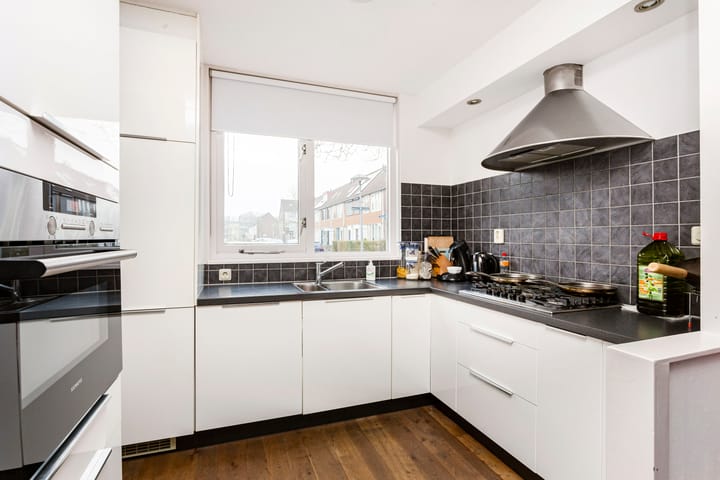 Photo 5 of Hispanioladreef 33