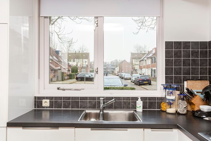 Photo 6 of Hispanioladreef 33