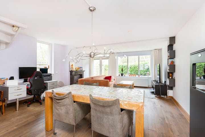 Photo 7 of Hispanioladreef 33