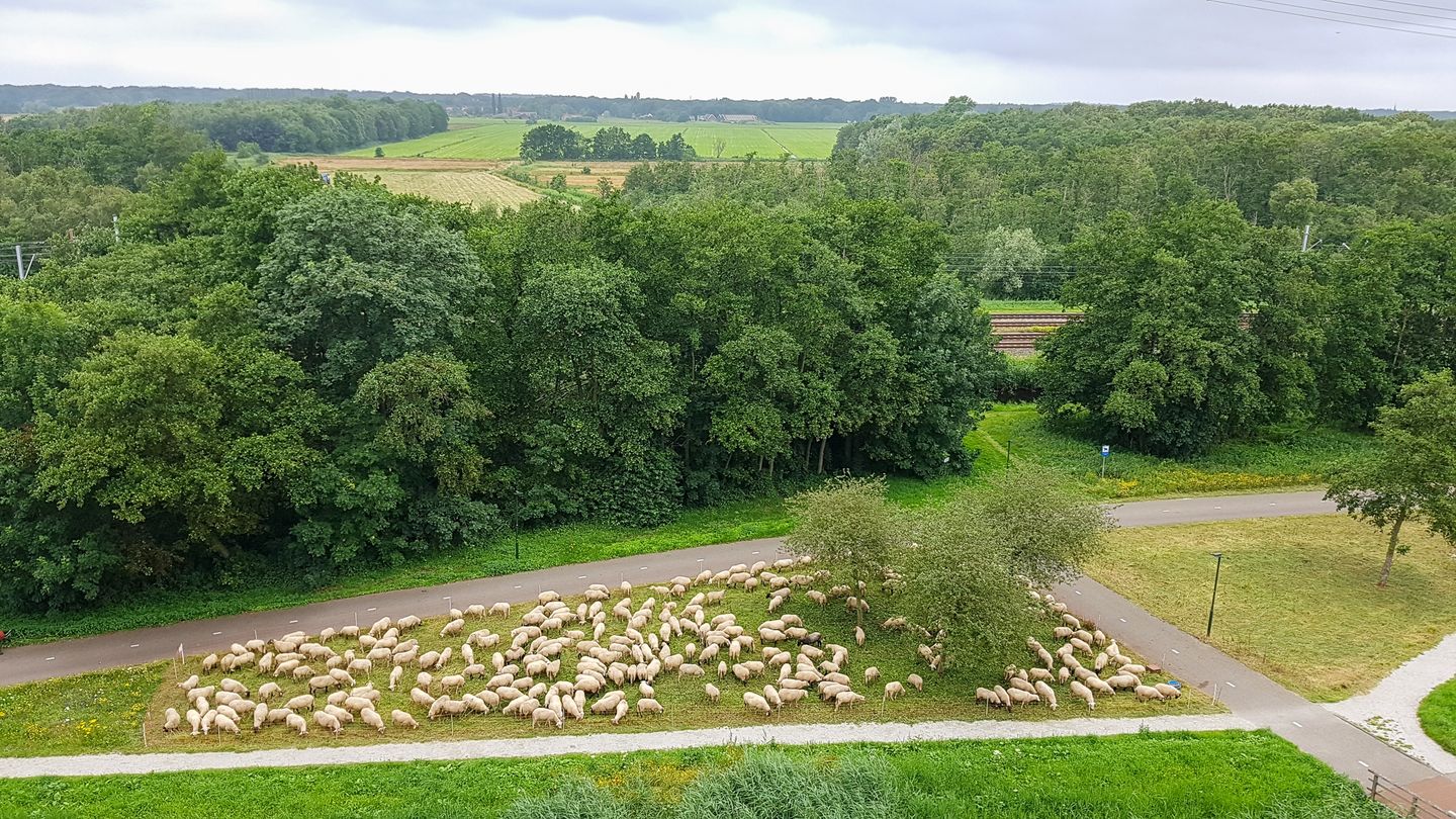 Foto 25 van Spechtlaan 53