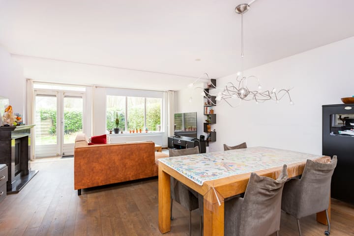 Photo 8 of Hispanioladreef 33