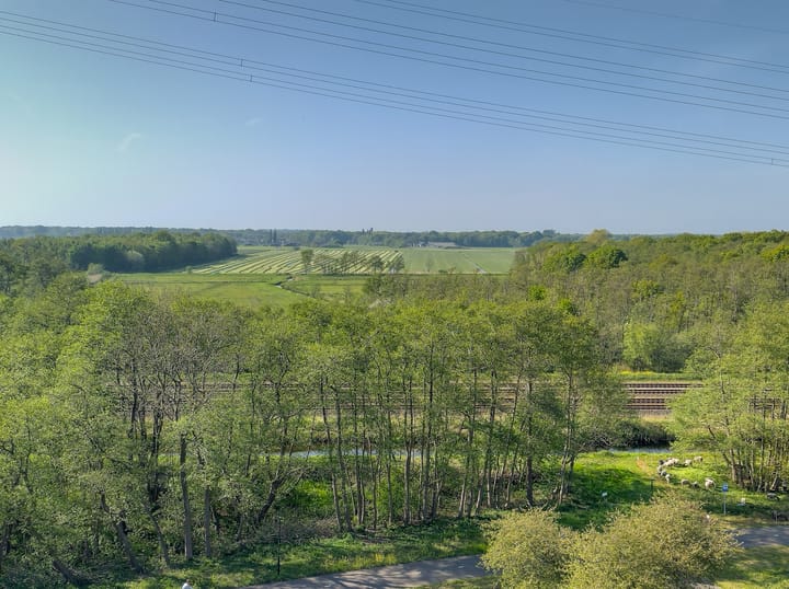 Foto 26 van Spechtlaan 53