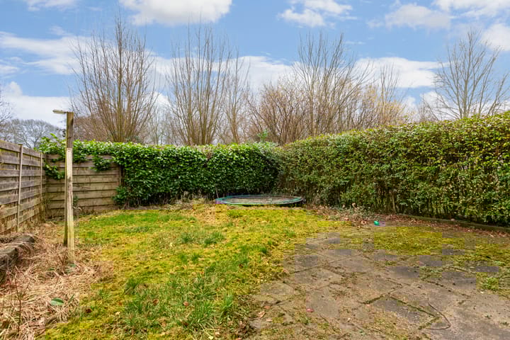 Photo 14 of Hispanioladreef 33