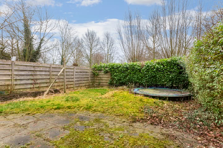 Photo 15 of Hispanioladreef 33