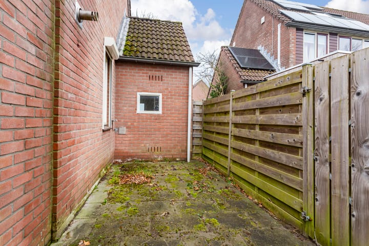 Photo 16 of Hispanioladreef 33