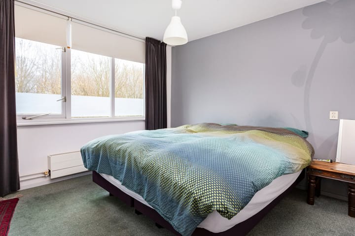 Photo 19 of Hispanioladreef 33