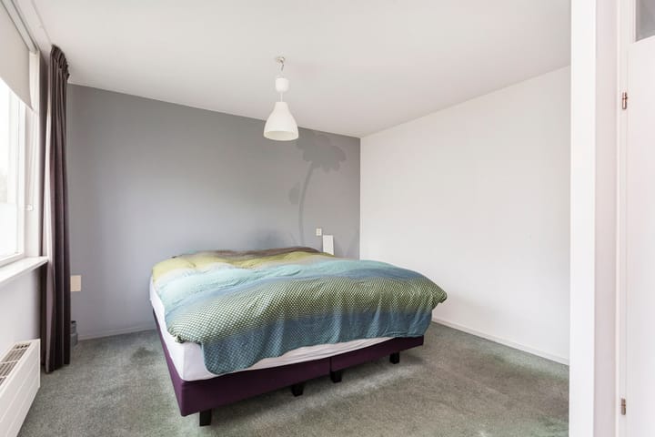 Photo 22 of Hispanioladreef 33