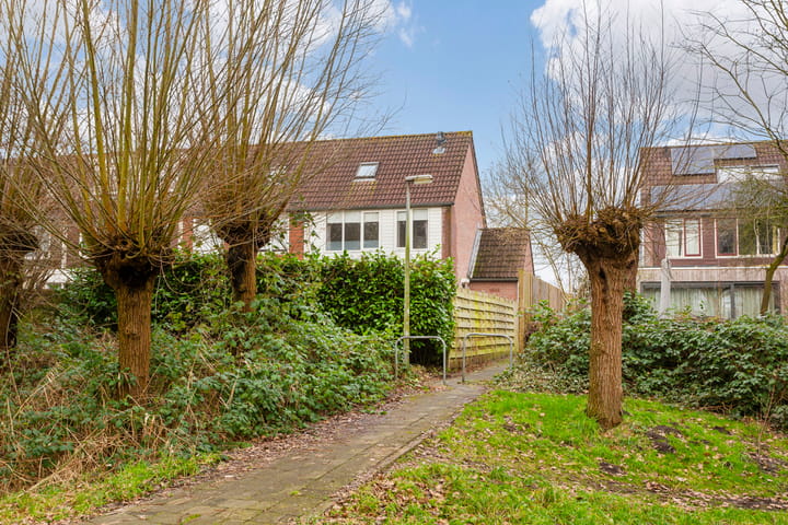 Photo 32 of Hispanioladreef 33