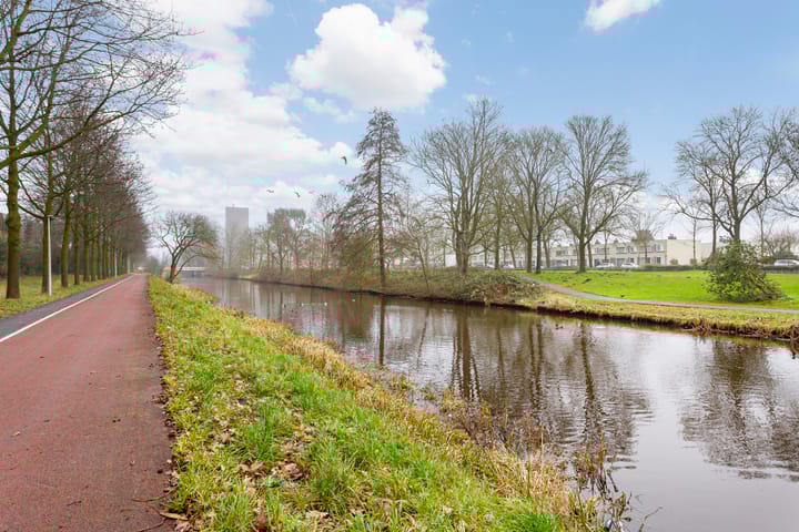 Photo 33 of Hispanioladreef 33