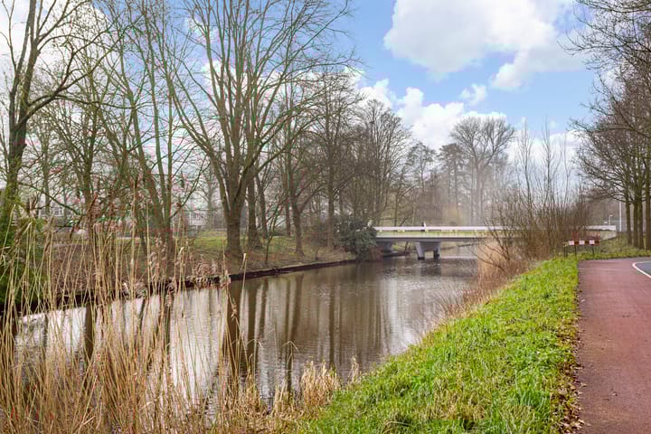 Photo 34 of Hispanioladreef 33