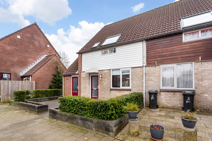 Photo 36 of Hispanioladreef 33