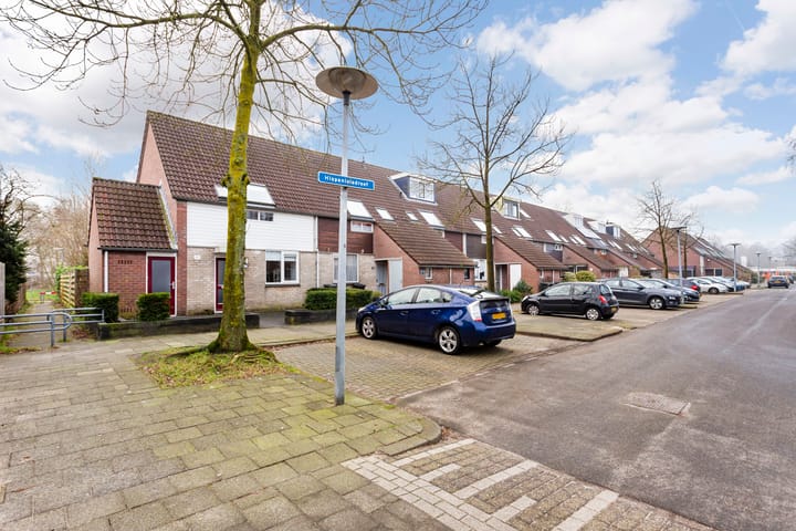 Photo 37 of Hispanioladreef 33