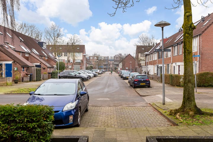 Photo 38 of Hispanioladreef 33