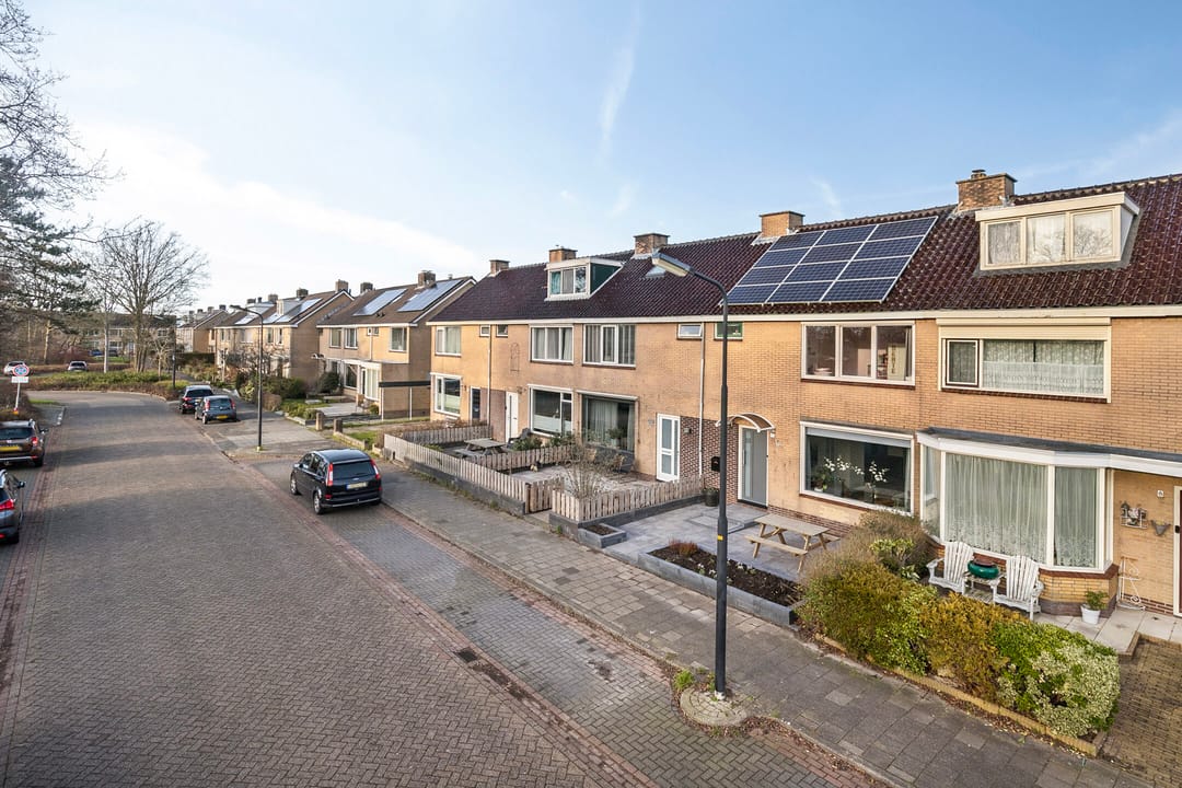 Foto 8 van Buddlejalaan 10