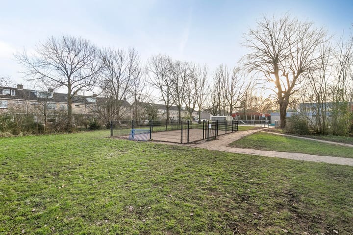 Foto 34 van Buddlejalaan 10