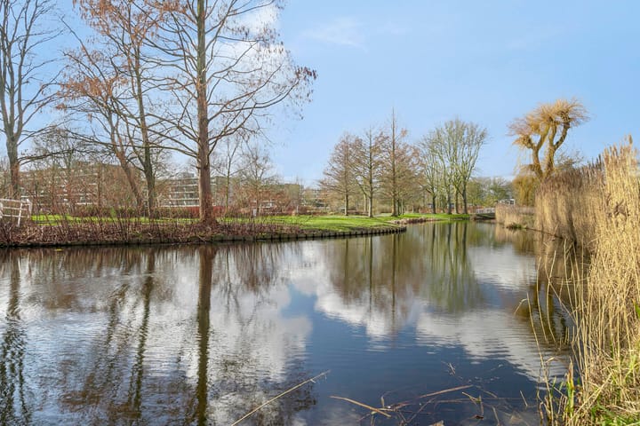 Photo 17 of Arthur van Schendelplein 32