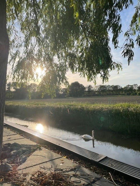 Foto 57 van Van Foreestallee 26-A