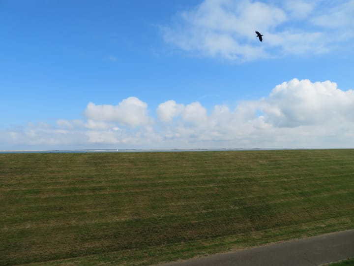 Foto 5 van Kanaalweg 58