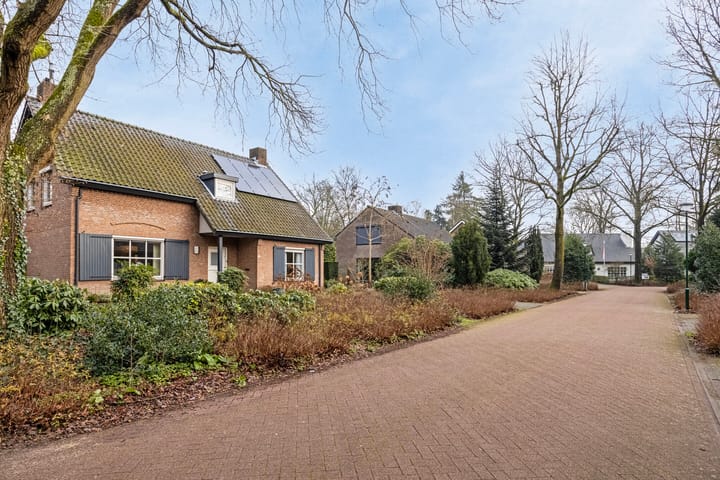 Foto 3 van Sleedoorn 11