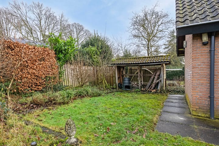 Foto 40 van Sleedoorn 11